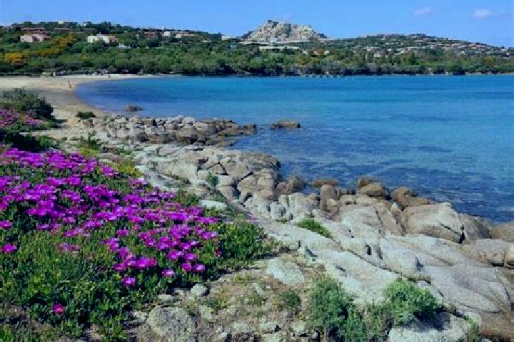 escort Sant Antonio di Gallura
