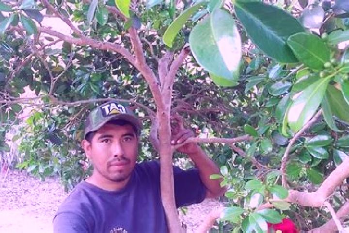escort Santiago Sochiltepec