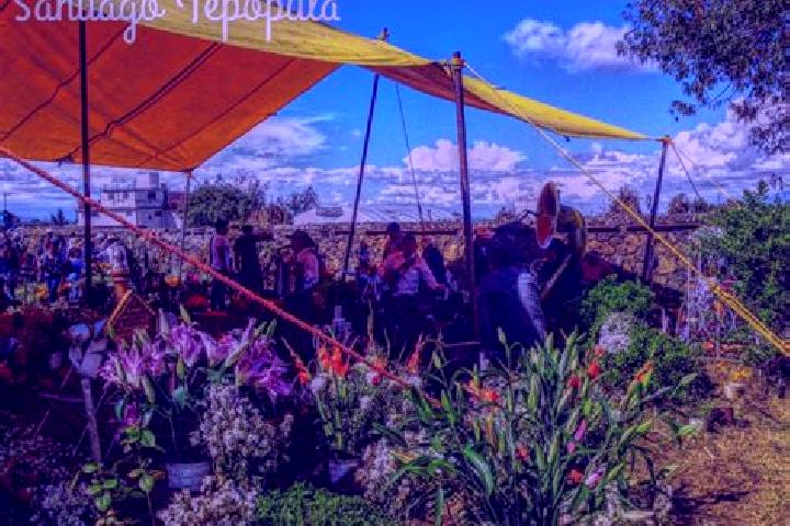 escort Santiago Tepopula