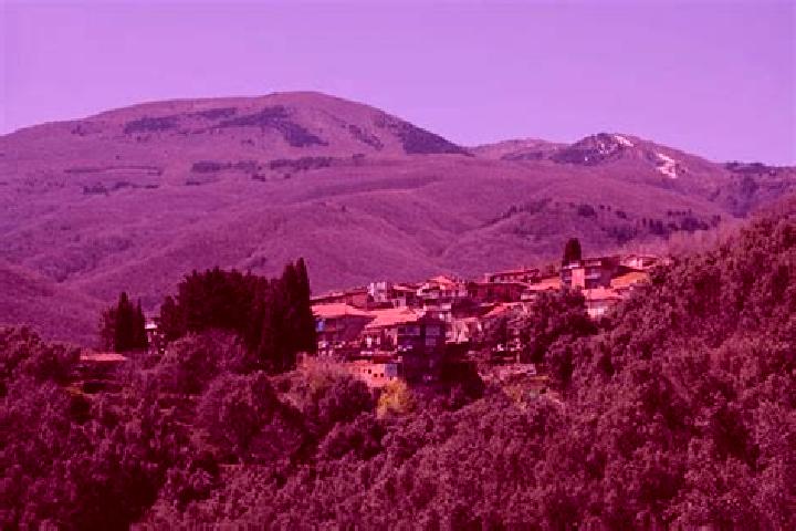 escort Santo Stefano in Aspromonte