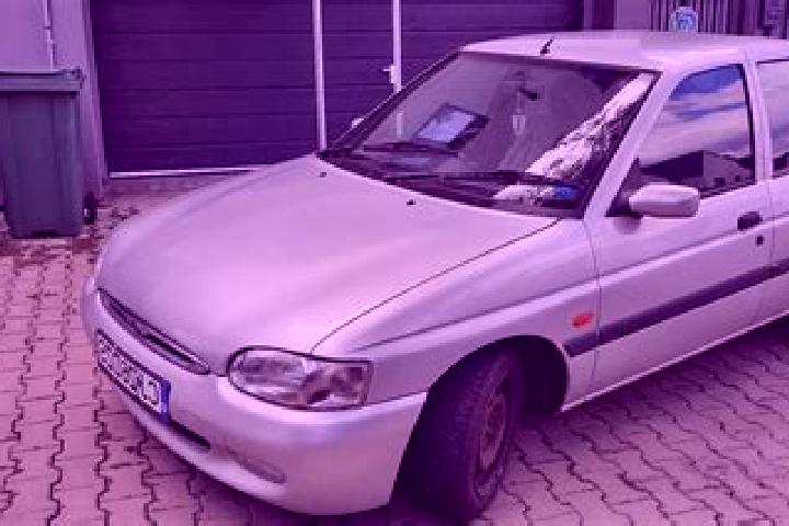 escort Santu Floresti
