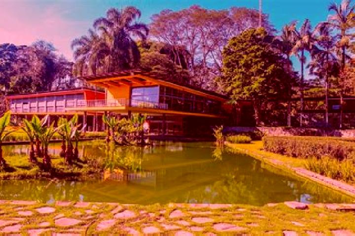 escort Sao Jose do Campestre