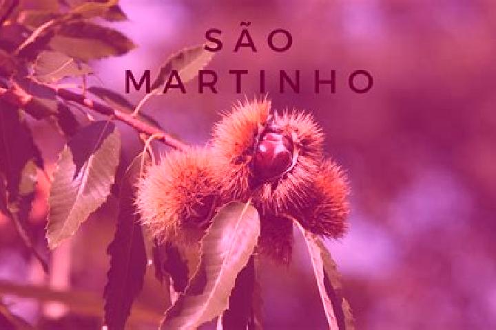 escort Sao Martinho da Serra