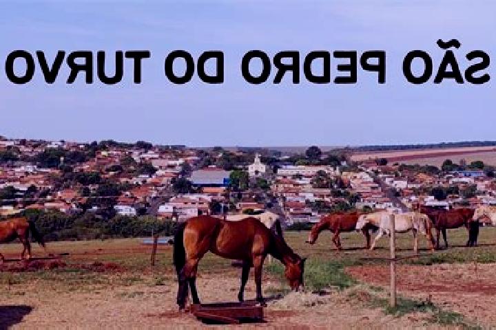 escort Sao Pedro do Turvo