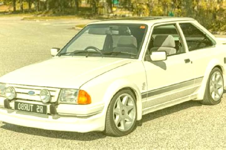 escort Sargstedt