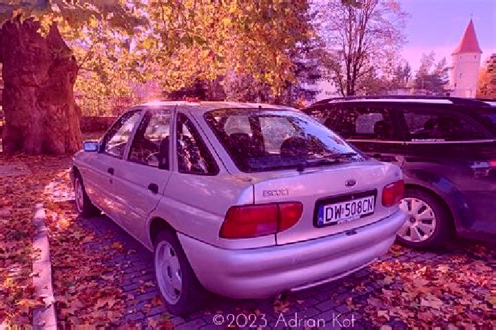 escort Saschiz