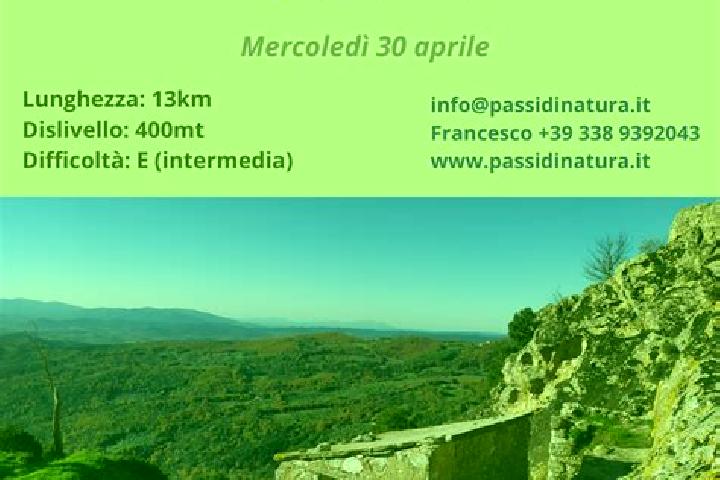 escort Sassofortino