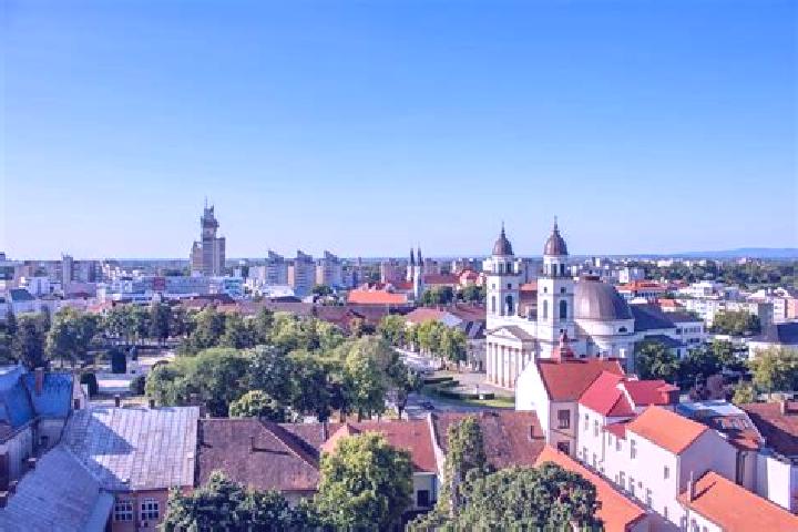 escort Satu Mare