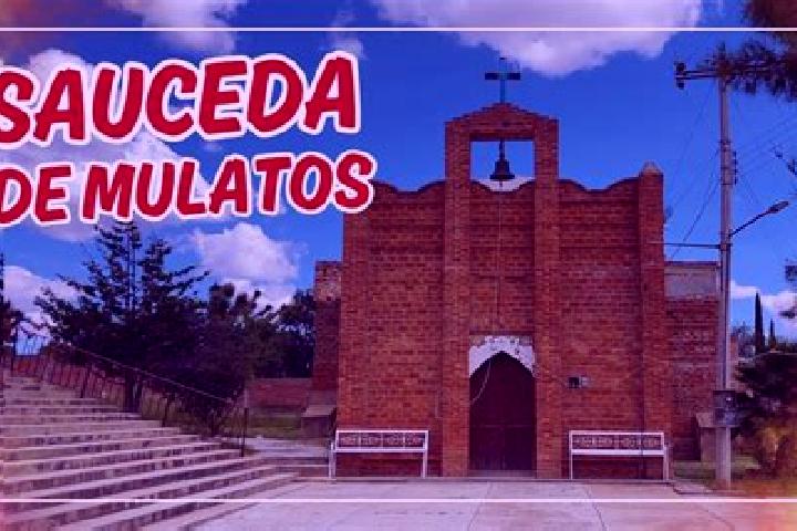 escort Sauceda de Mulatos