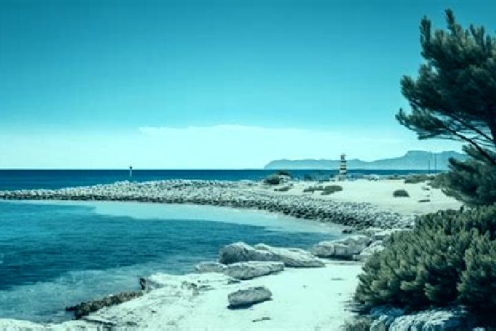 escort Sausset-les-Pins