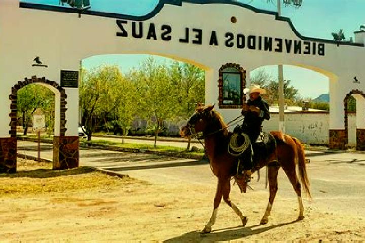 escort Sauz de San Lucas (El Sauz)
