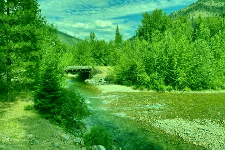 escort Saw Creek