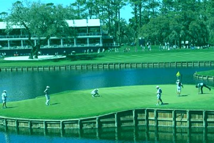 escort Sawgrass