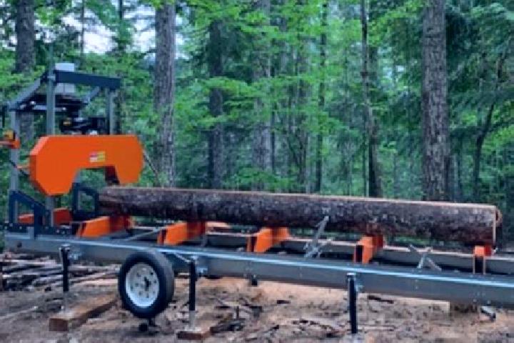 escort Sawmill