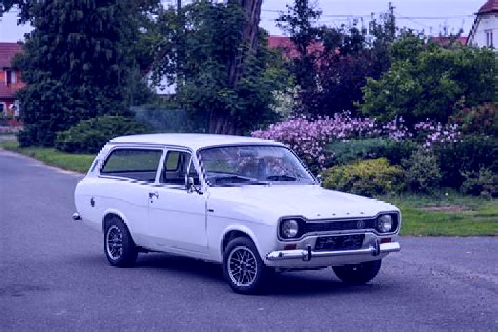 escort Saygecit