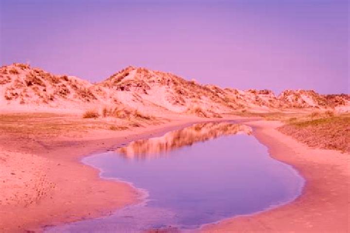 escort Schiermonnikoog