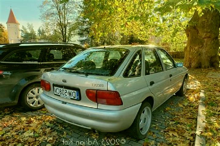 escort Schleiden