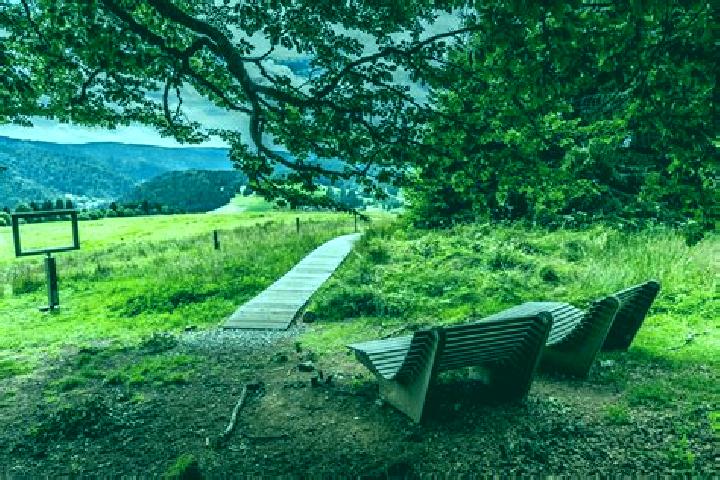 escort Schoenau im Schwarzwald