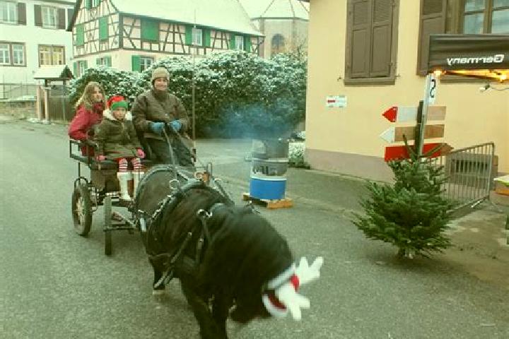 escort Schwenheim