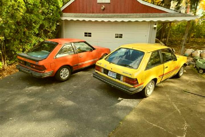escort Sciarborasca