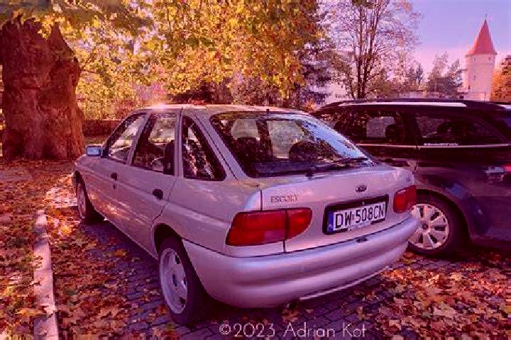escort Scitarjevo