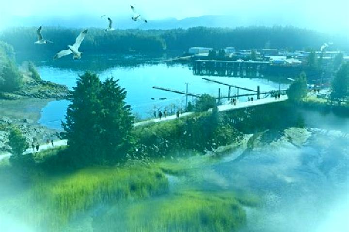 escort Seal Cove