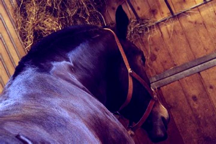 escort Sebazac-Concoures