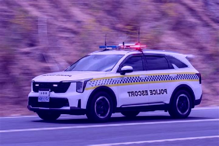 escort Section