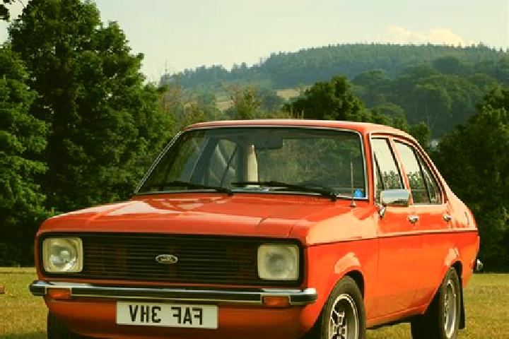 escort Sedlescombe