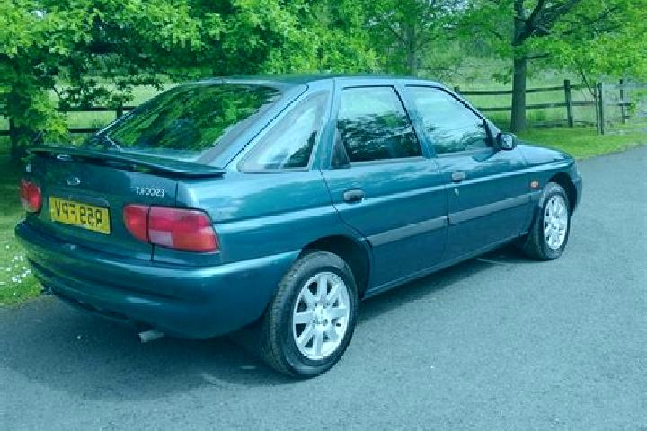 escort Sedziszowa