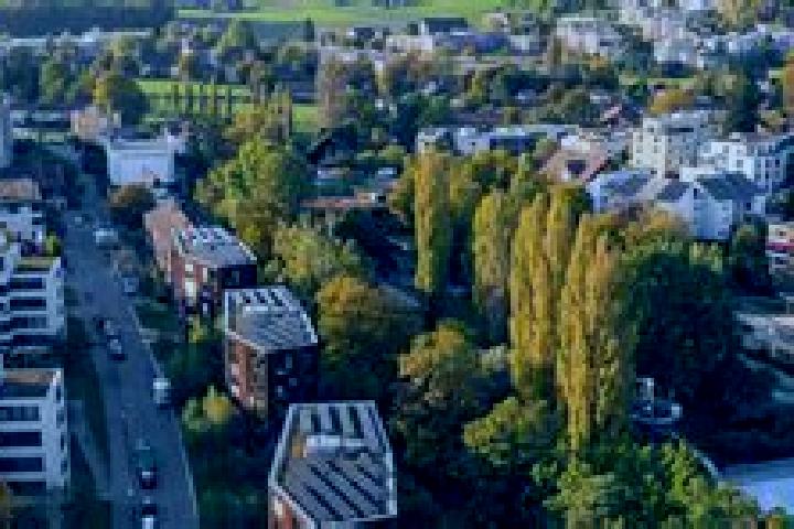 escort Seebach