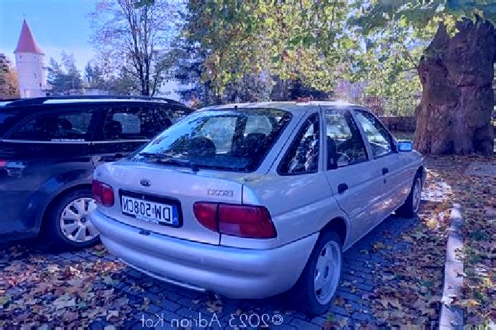 escort Selbitz