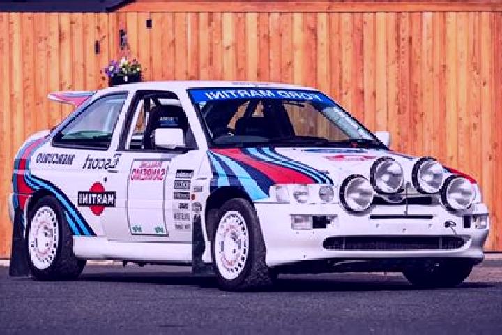 escort Selnik