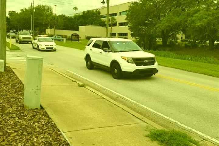 escort Seminole