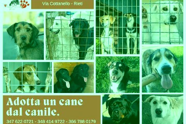escort Semonte-Casamorcia
