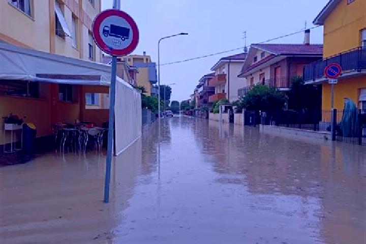 escort Senigallia