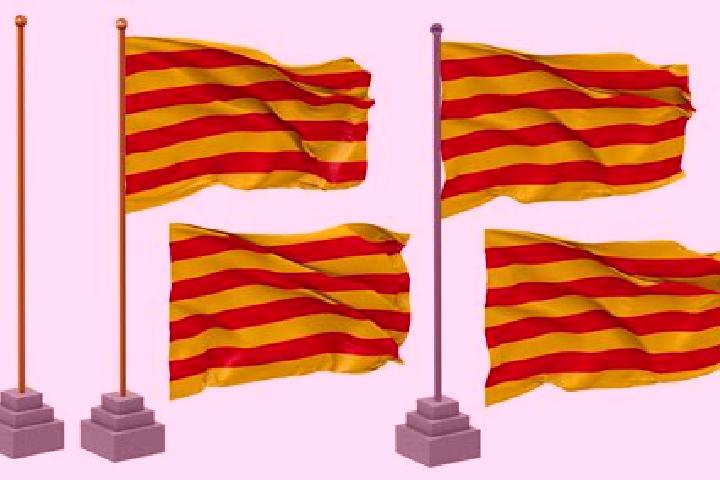 escort Senyera