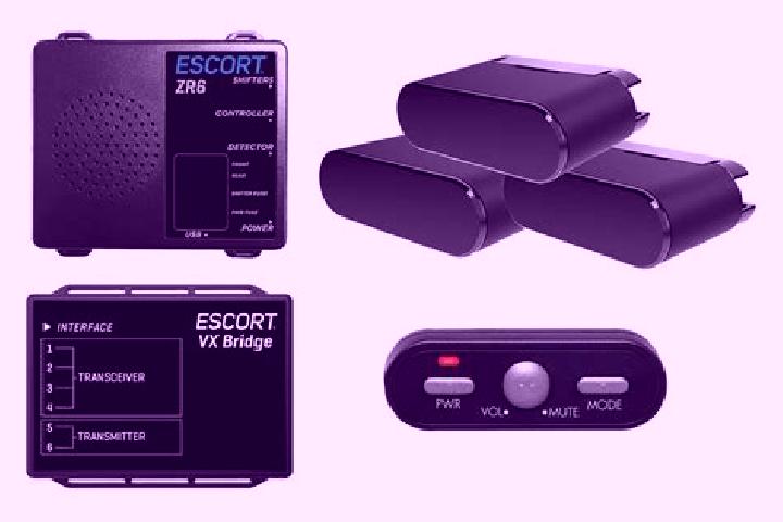 escort Sepolno