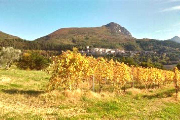 escort Serra San Quirico