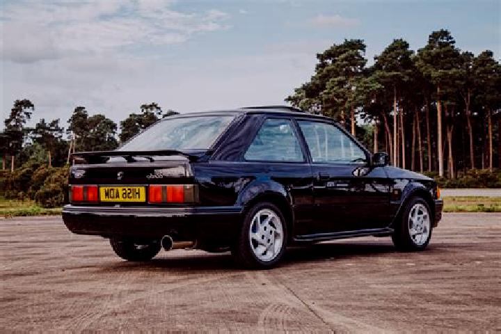 escort Serrapetrona