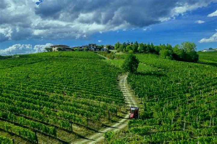 escort Serravalle Langhe