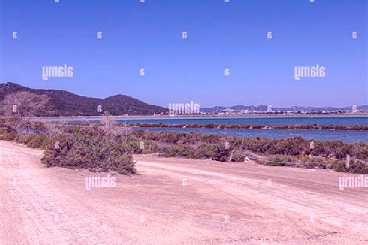 escort Ses Salines