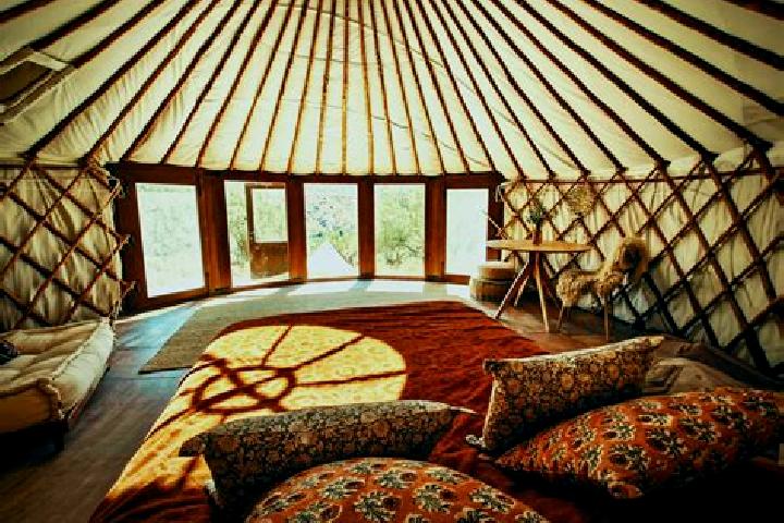 escort Shaami-Yurt