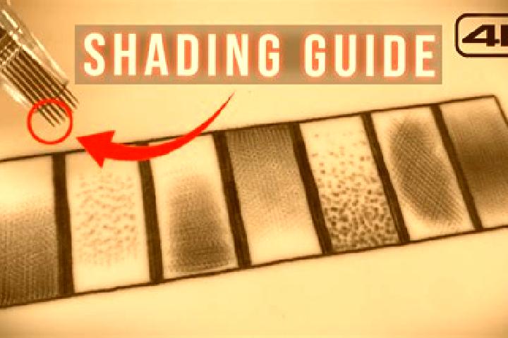 escort Shading