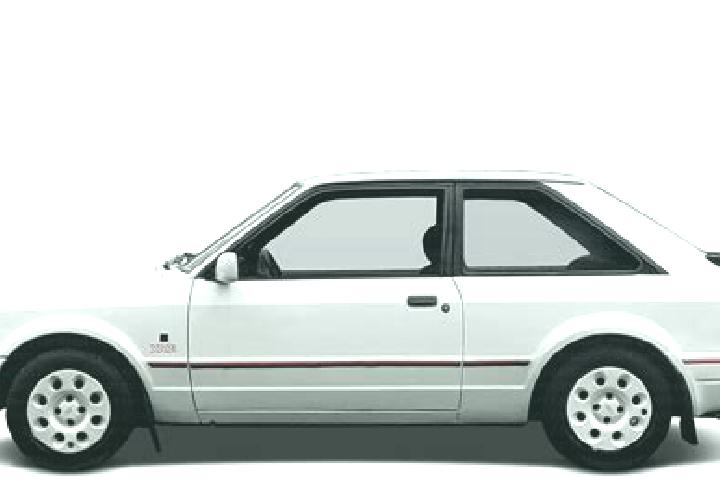 escort Shamgarh