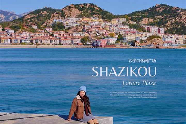 escort Shazikou
