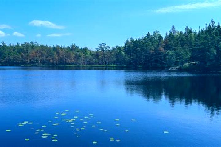 escort Sheffield Lake