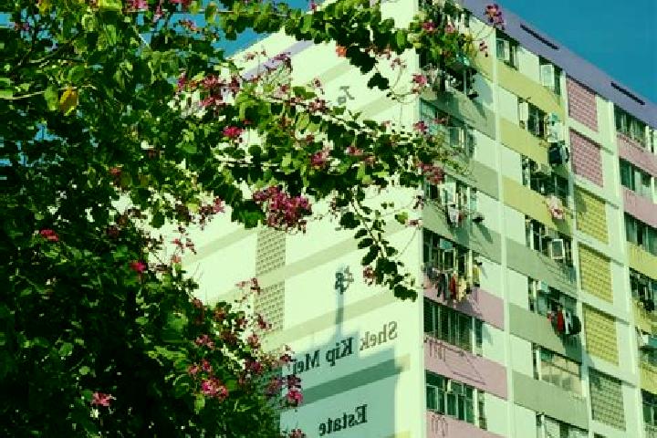 escort Shek Kip Mei Estate