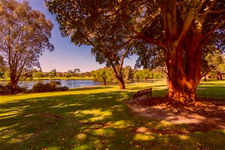 escort Shenton Park