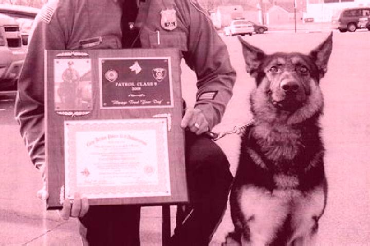 escort Shepherd